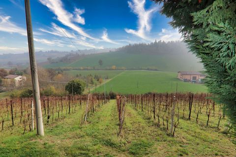 Landejendom i Castelvetro di Modena, Modena, Castelvetro di Modena - € 650.000 | Ref: V002957 - foto 49